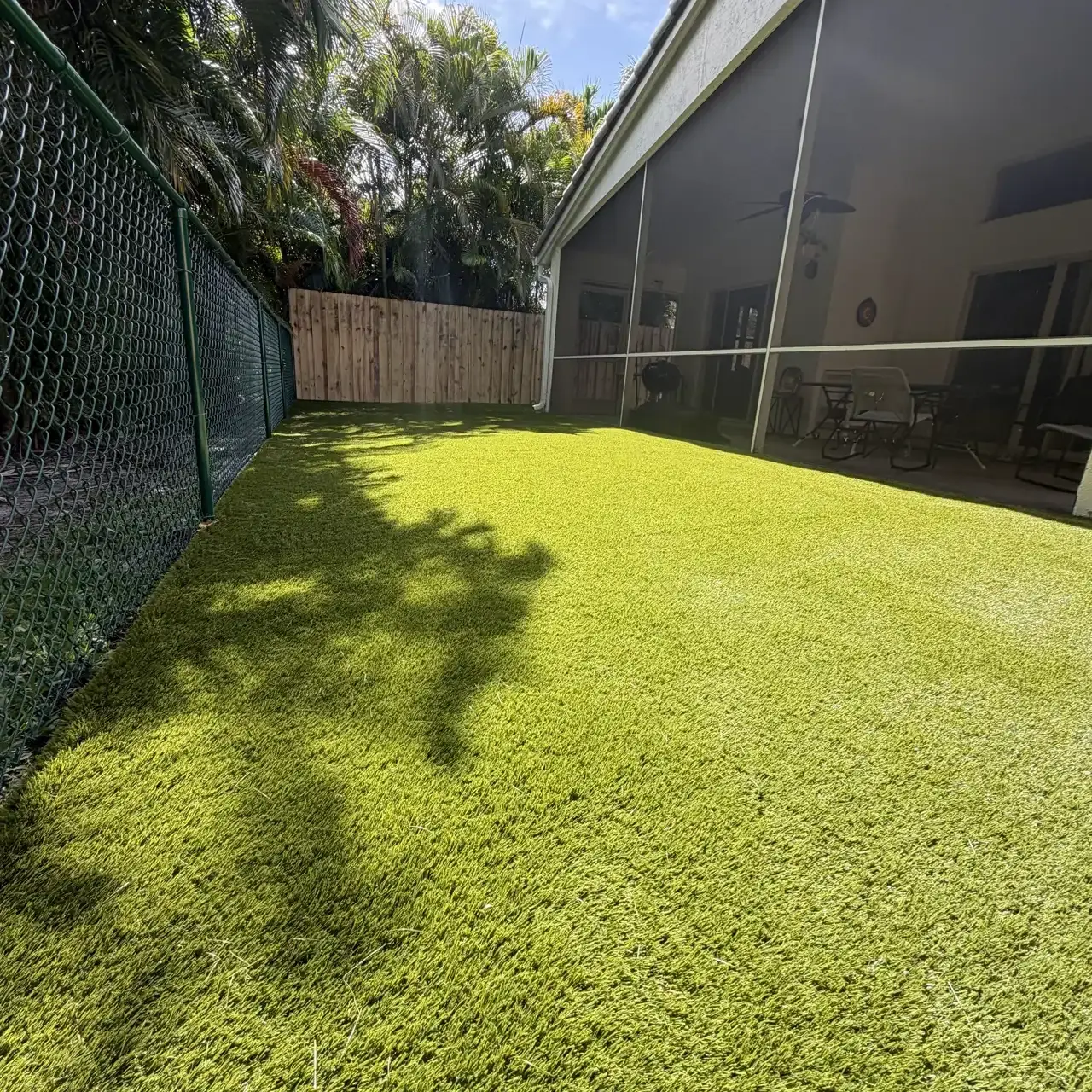 Backyard artificial turf next to screened lanai